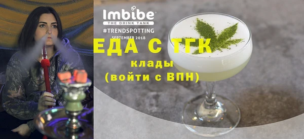 индика Елабуга