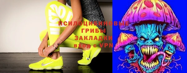 гидра Зеленокумск