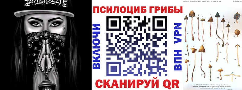 Псилоцибиновые грибы ЛСД  kraken сайт  Рошаль 